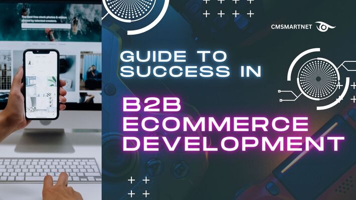 Guide To Success in B2B Ecommerce Development